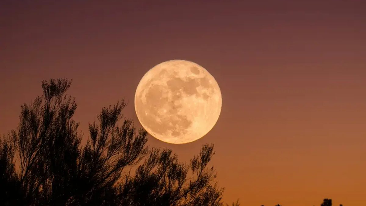 Lua cheia em Touro ilumina a madrugada de 26 de outubro