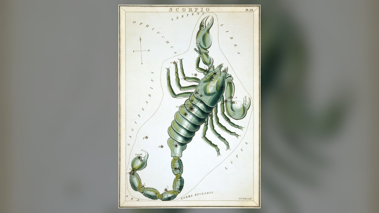 Gravura antiga da constelação de Escorpião do atlas celeste Urania's Mirror, de 1824, com o escorpião desenhado sobre as estrelas