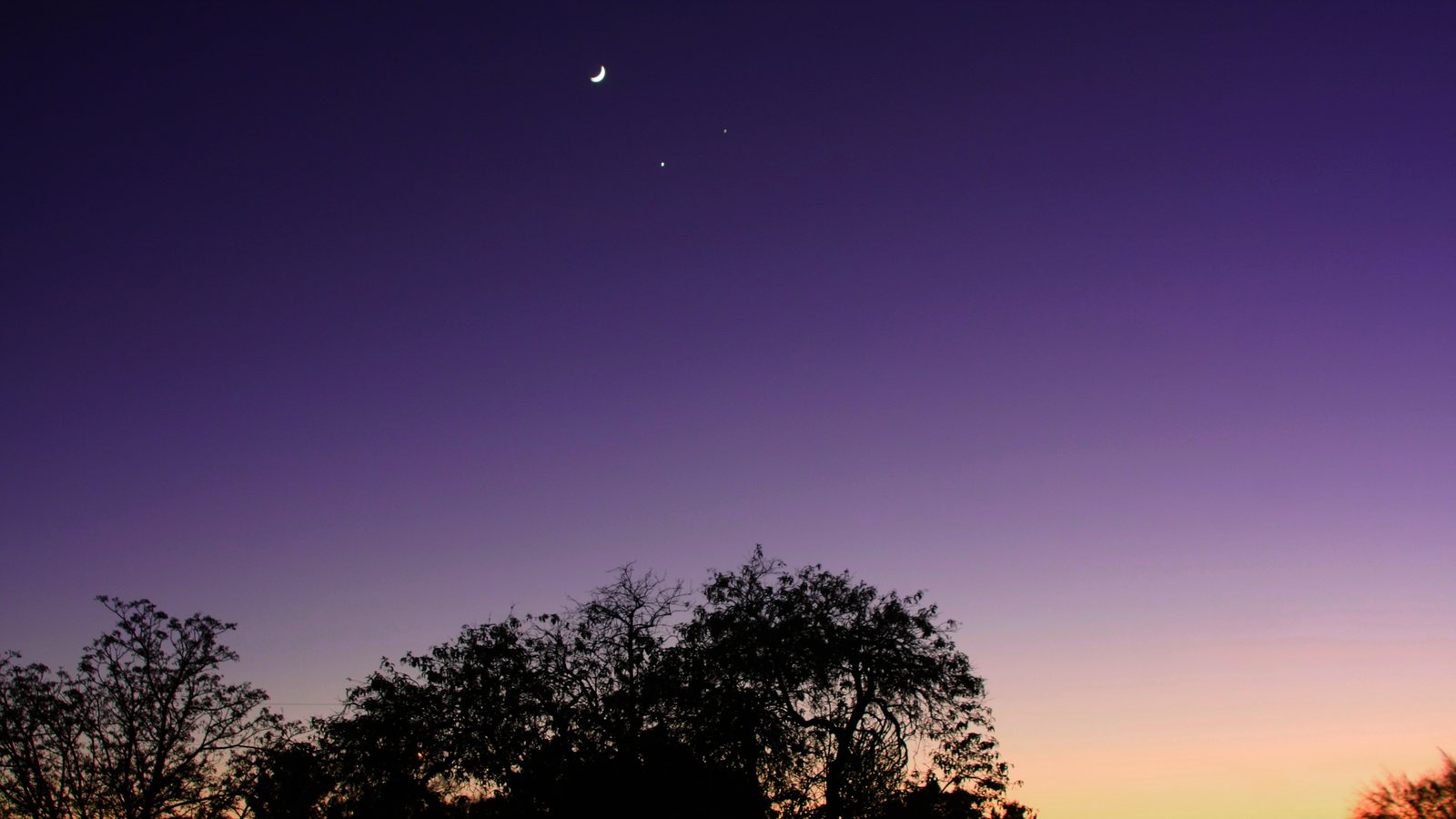Céu do amanhecer em tons de violeta e laranja com uma Lua crescente fina e dois pontos brilhantes acima da silhueta de árvores